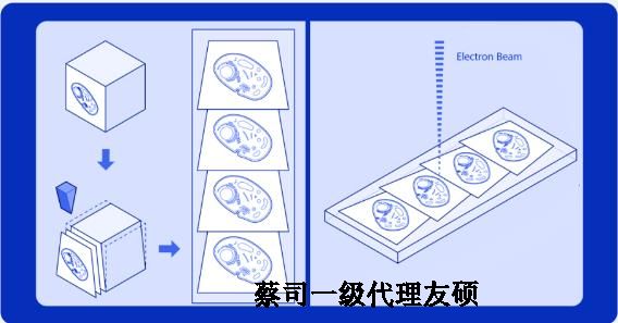 湖北蔡司湖北扫描电镜