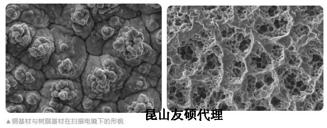 湖北蔡司湖北扫描电镜